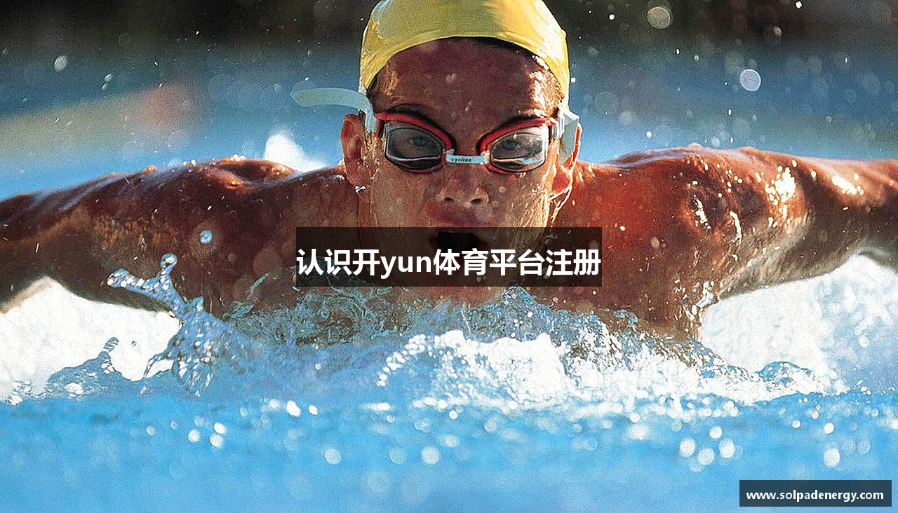 认识开yun体育平台注册